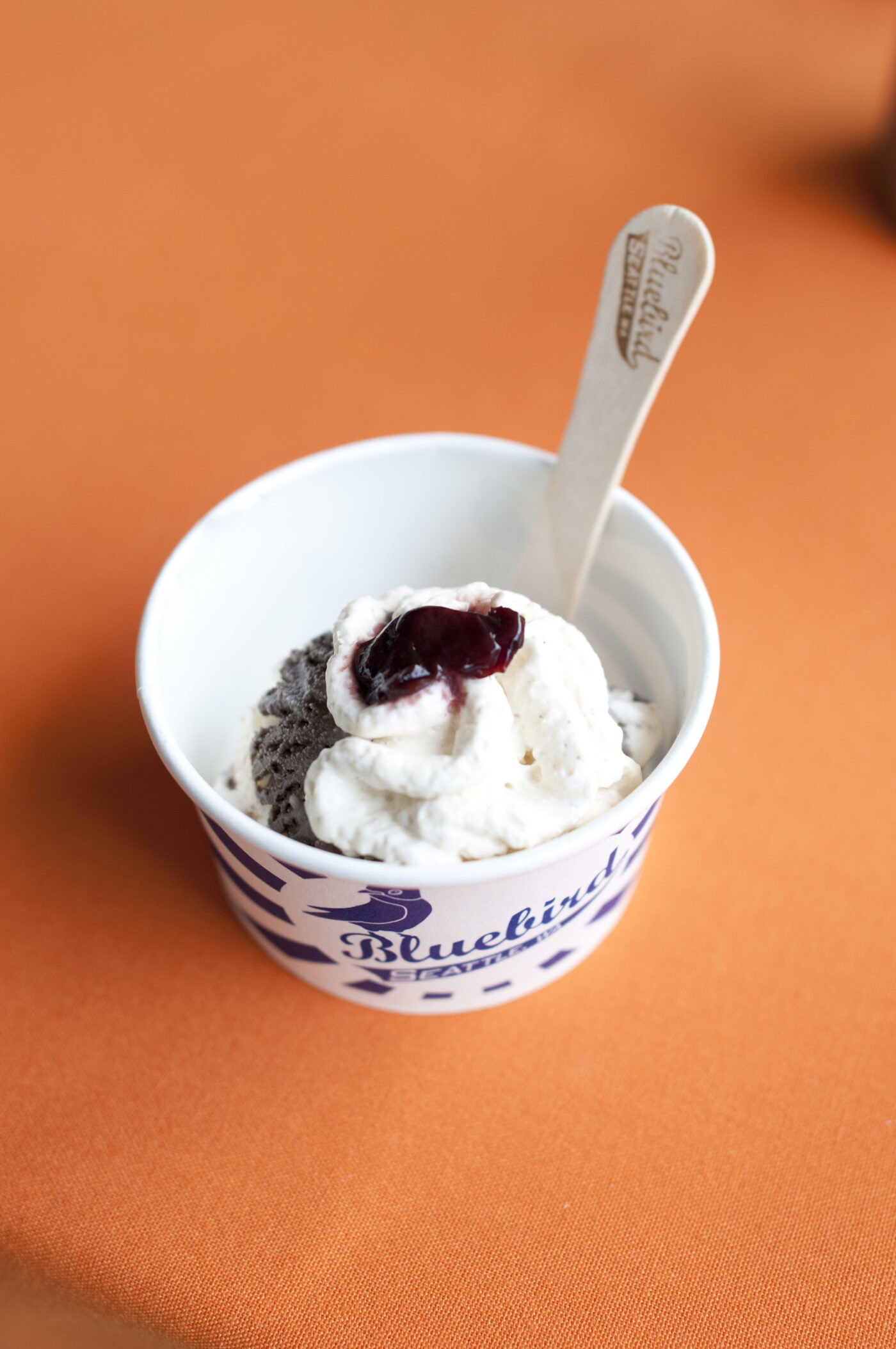 Bluebird Ice Cream bourbon vanilla bean meets chocolate pudding  ice cream with a cherry on top.