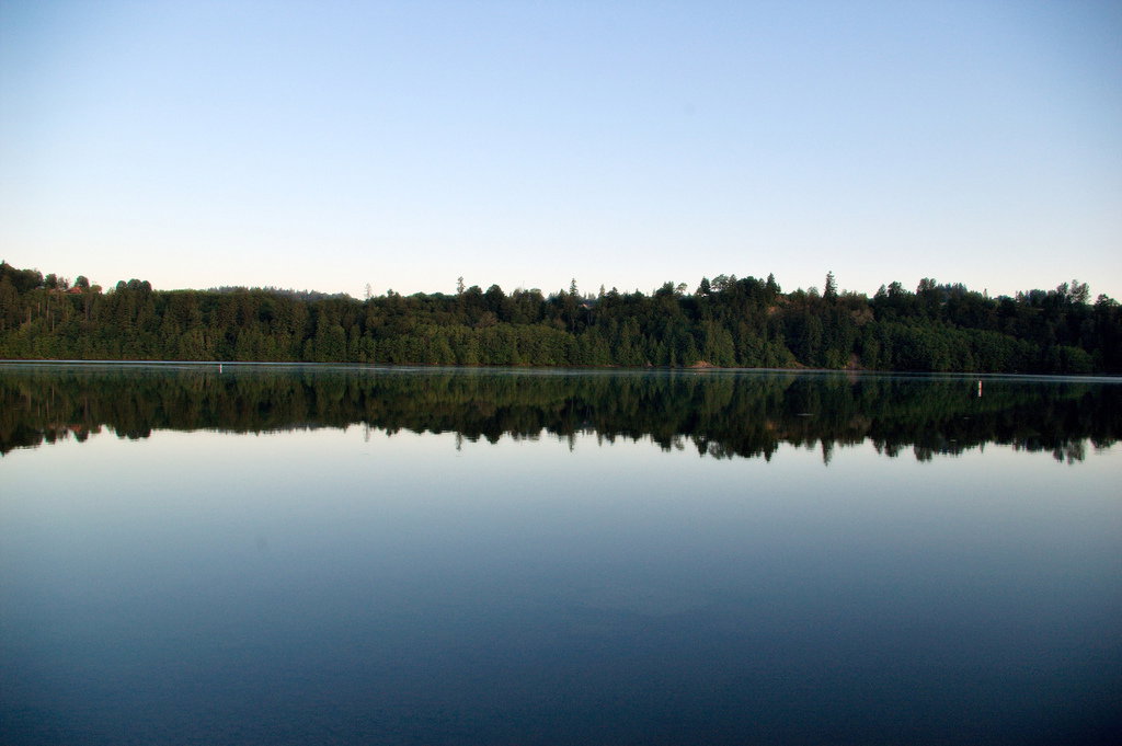 "Mayfield Lake in Southwest Washington is gorgeous! A hidden gem of great boating, camping, and amazing scenery."—Adrienne