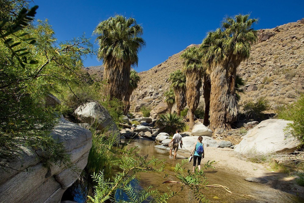 The ravines notched in the San Jacinto mountains are part of the Agua Caliente Indian Reservation. Palm Canyon Wash is out past the edge of town, while the Tahquitz Canyon entrance is closer in. Both have fees, but inside are groves of California fan palm trees and desert hiking. Plan on biking or riding a scooter in, then walking on the trails.