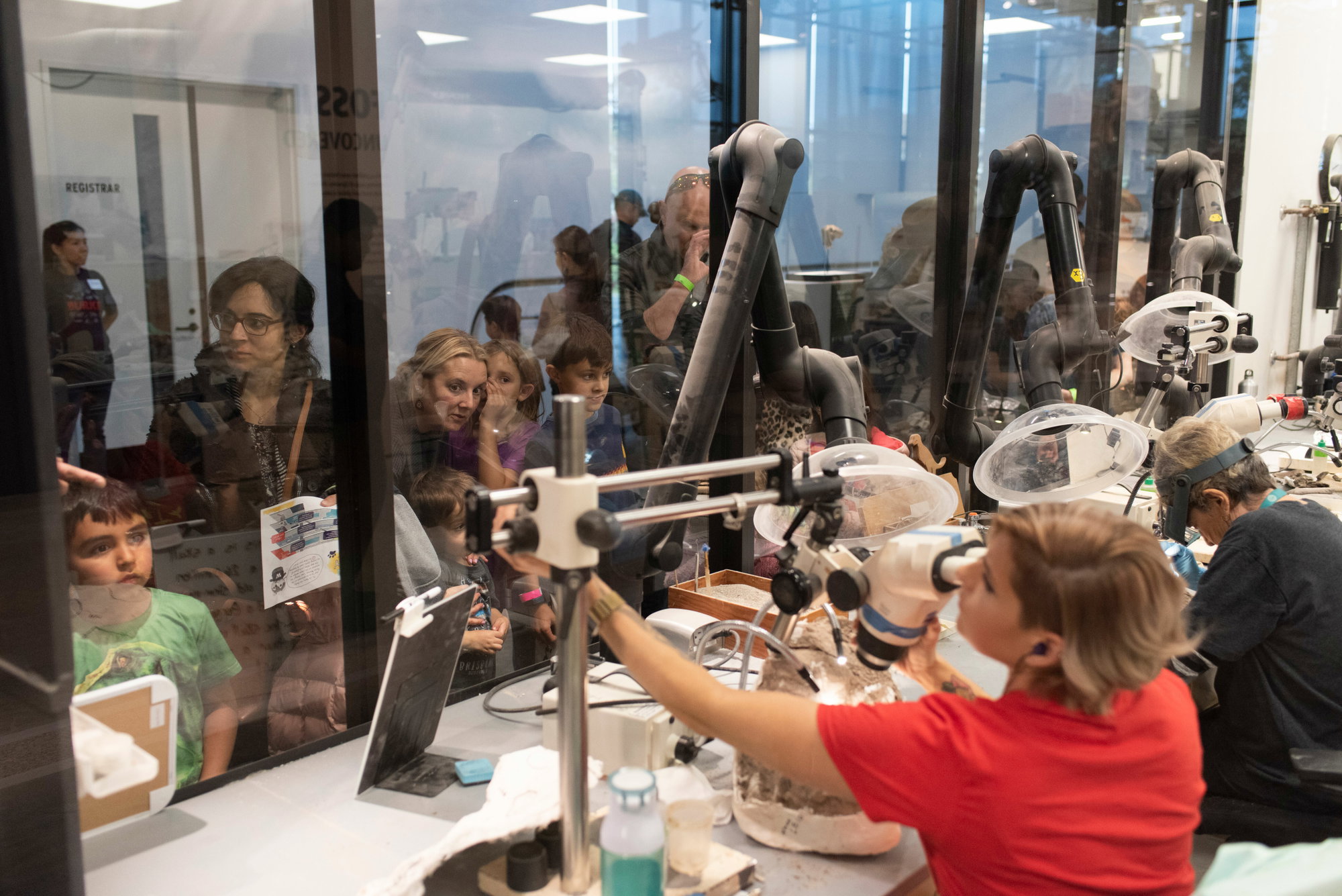 Visitors watch paleontologists prepare fossils during the grand opening of the new Burke Museum in October 2019.
