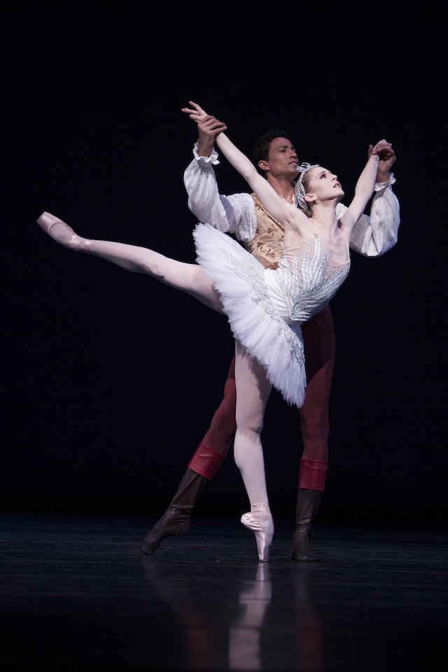 Korbes swan lake pnb pxvull