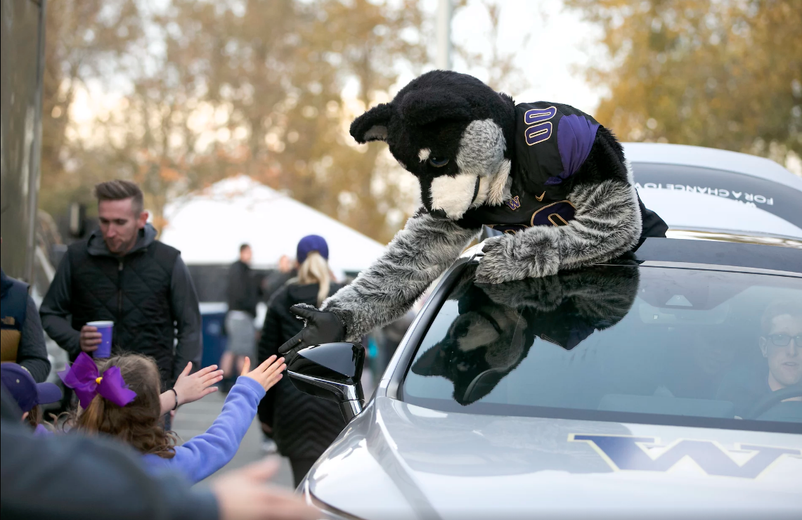 Uw football mascot ve2snv