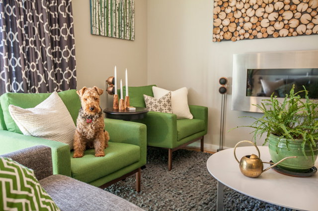 The homeowners’ beloved Welsh terrier, Finrod tries out the contemporary armchairs.