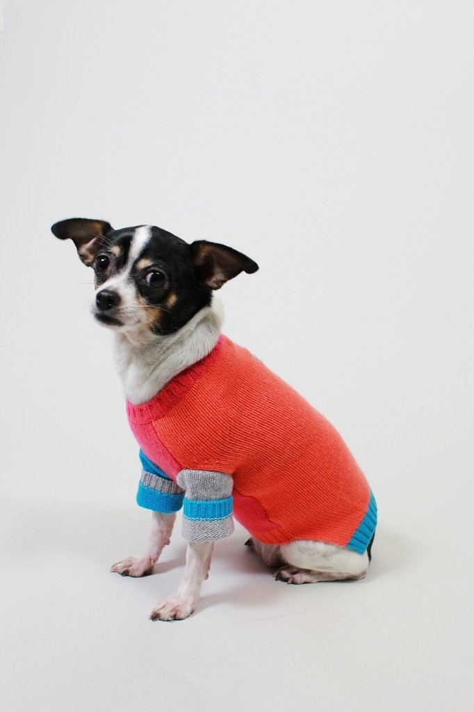 Baby and Co specializes in Paris-inspired women's and men's street fashion (as in, the stuff you wear over and over again so that it becomes part of the very fabric of your city and its collective style), but the fact that they just started carrying Tom Scott and Jackie Rosenthal's amazing canine sweaters takes things to a whole new level.