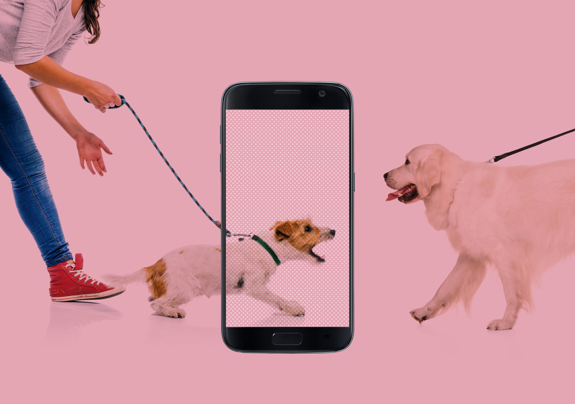 Inside the Dog-Eat-Dog World of Seattle Dating Apps