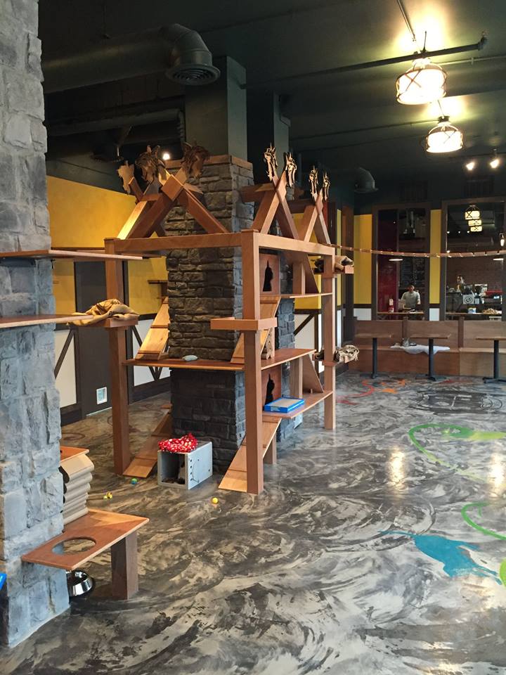 Seating is around the edges of the room, so you can watch the feline action. Photo via Splinter and Slag/Facebook.