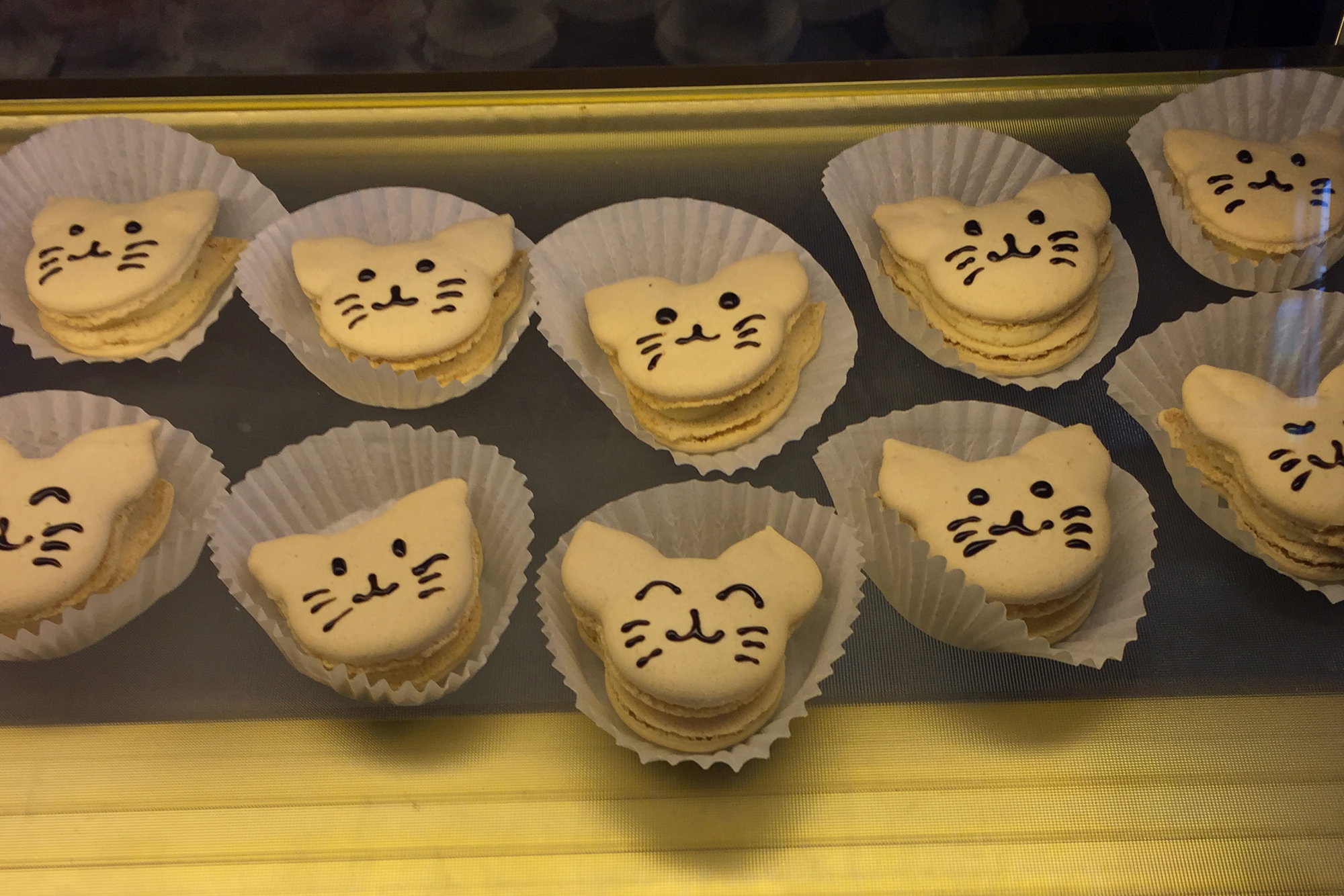 Considering the cat cafe's presence in Japan, it kinda makes sense that Fuji Bakery is doing the baked goods, including three flavors of feline-shaped macaron.