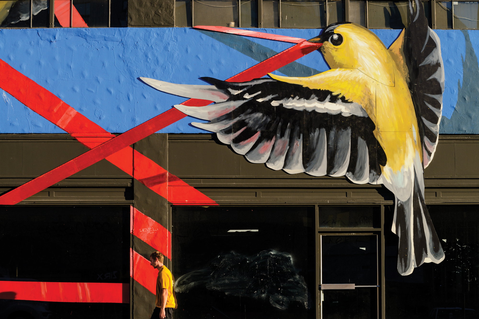 Murals 091416 0082 vgpt5t